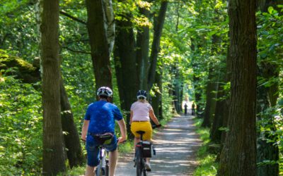 De essentiële benodigdheden voor een fietstocht